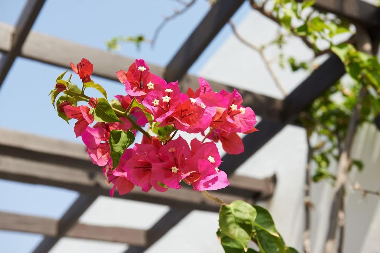 Afroditi Hotel ปลาเกียส ภายนอก รูปภาพ